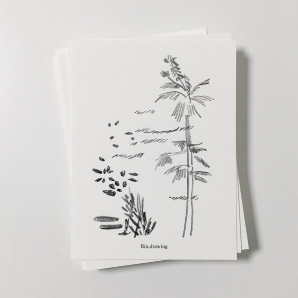 Plants card_2